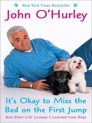 cover image of It's Okay to Miss the Bed on the First Jump